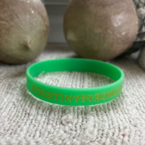 Destiny StrongER Liver Cancer Bracelet